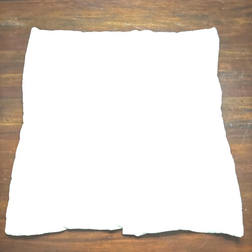 West Elm Pillow Sham EURO Size Pintuck Off White Ivory Organic Cotton Pleated